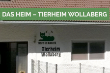 Tierheim Wolleberg